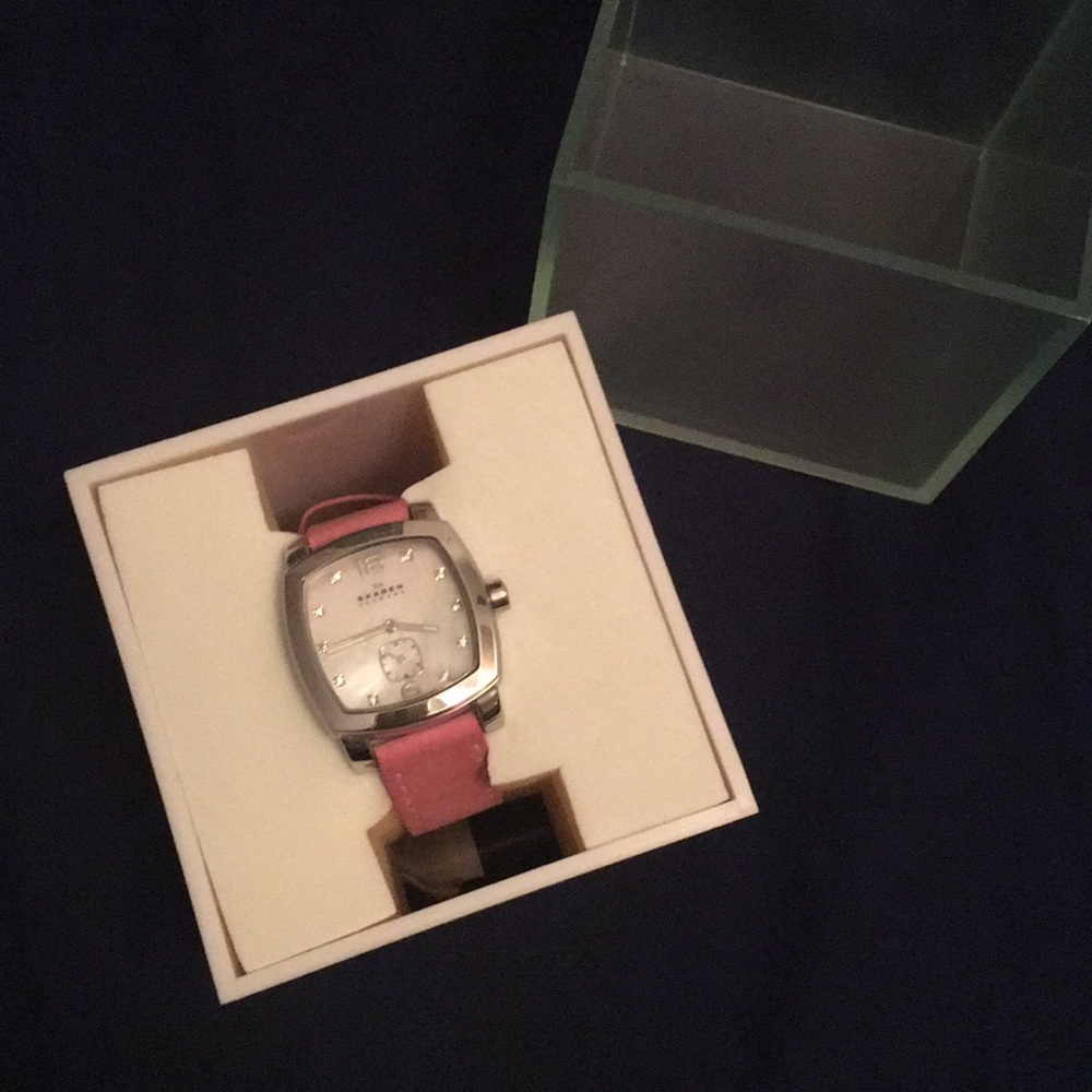 Skagen Watch